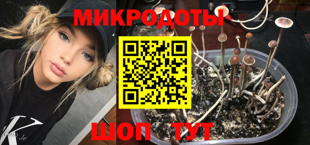 Белорецк  Галлюциногенные грибы Cubensis  Вход с VPN 